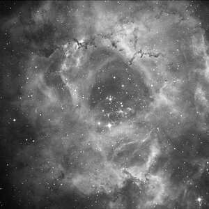 Rosettennebel in Monoceros