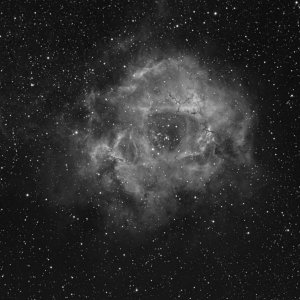 NGC2244-Luminanz.jpg