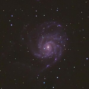 M101