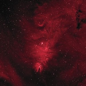 NGC2264_Ha_R.jpg