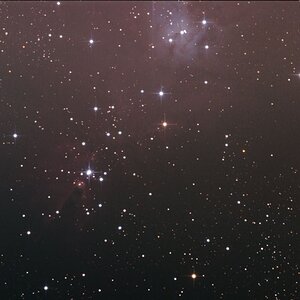 NGC2264 vom 17.03.12
