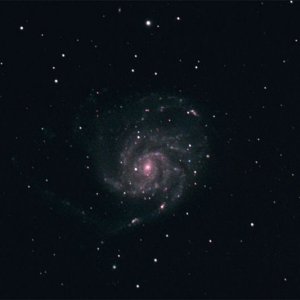 m101_20120315_sml8.jpg