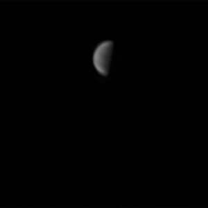 Venus