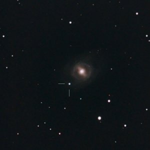 M95 mit PSN J10435372