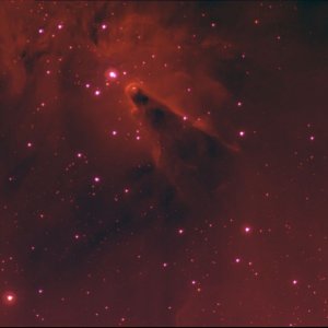 NGC 2264