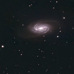NGC 2903