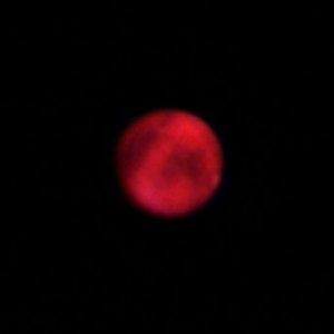 video0003 12-03-23 23-06-01_reg1_3.jpg