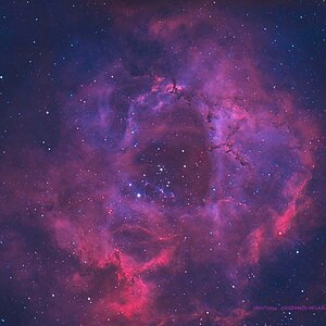NGC - 2244  Schmalband