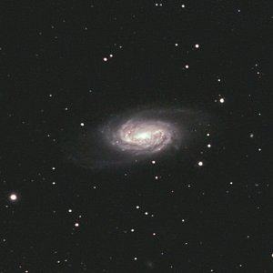 NGC 2903