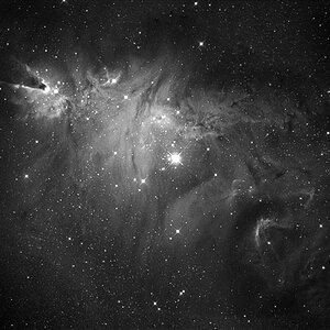 NGC2264 Konusnebel