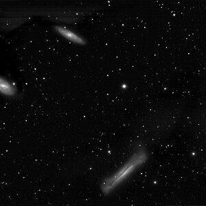 Leo Triplett