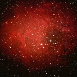 NGC2238 First light Vixen ED81s