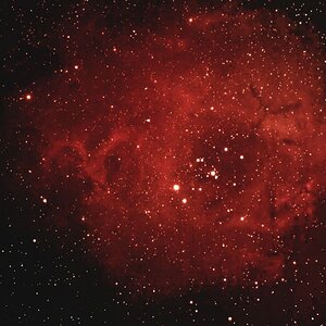 NGC 2238 Neubearbeitung