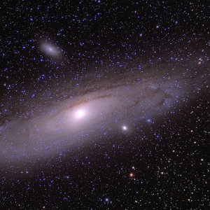 M31