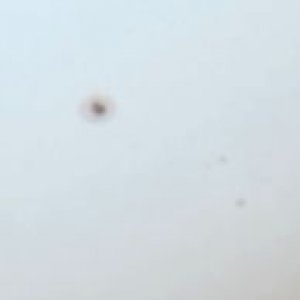 Sonne001b.jpg