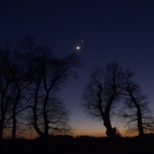 Mond&Venus&Jupiter&Eichen-09_small.jpg