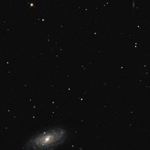 NGC3953