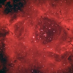 NGC 2244