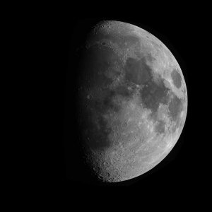 Mond mit jungem Henkel