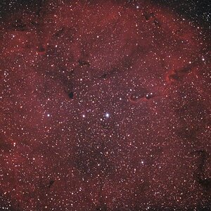 IC 1396