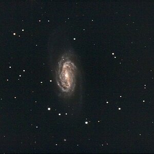 NGC 2903