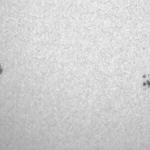 Sonne Detail.jpg