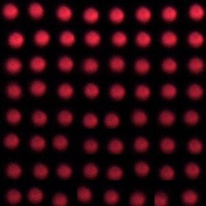 Mars  V800 T1-19s Ausschnitt 1-64.jpg