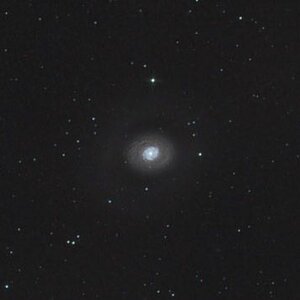 DSLR: M94