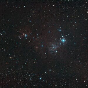 DSLR: NGC 2264 - Weihnachtsbaum-Haufen