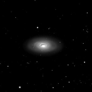 M 64