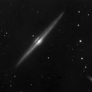 NGC 4565
