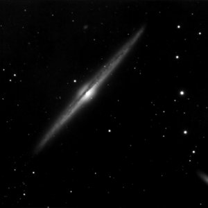 L1-12_8.jpg