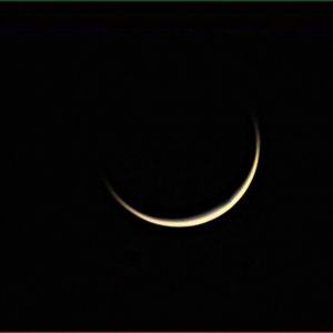 Venus