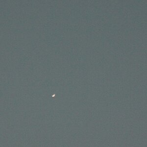 Venus