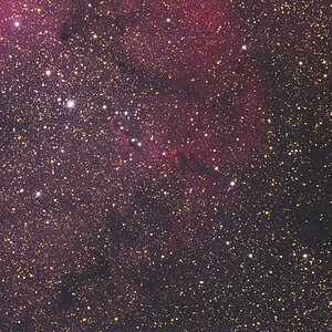 IC1396 mit Elefantenrüssel