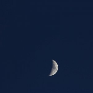 IMG_0033.JPG
