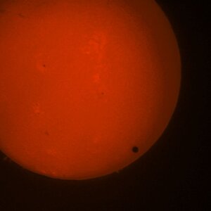 Venus vor Sonne