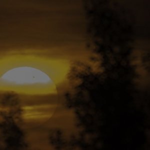 IMG_8376_web.jpg
