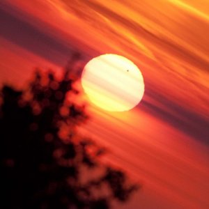 Venustransit Schneekopf Thüringen
