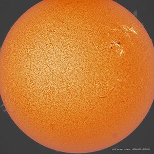 Lunt first-light