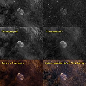 Der Weg zum Bicolor-Bild