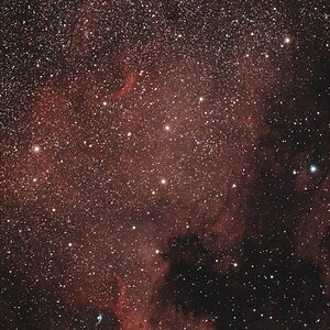 NGC 7000