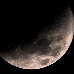 Mond