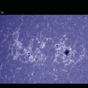 Sun 30.june.2012 (sun spot 1516,1513)