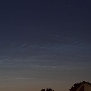 _MG_5442_LNW.jpg