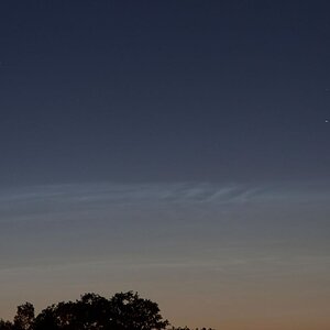 _MG_5443_LNW.jpg