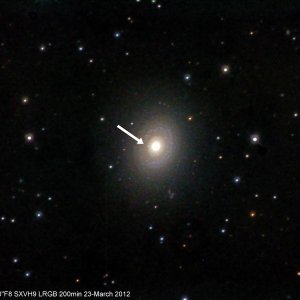 Supernova in NGC2775 ??