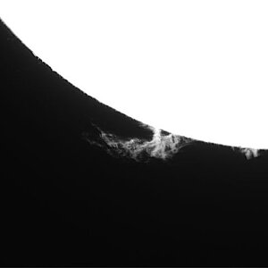 Sonne 2.jpg