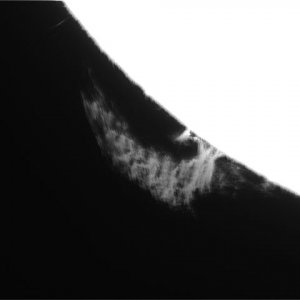 Sonne 4.jpg