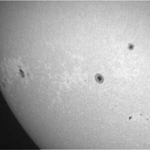 Sonnenflecken und Fackeln 1.jpg